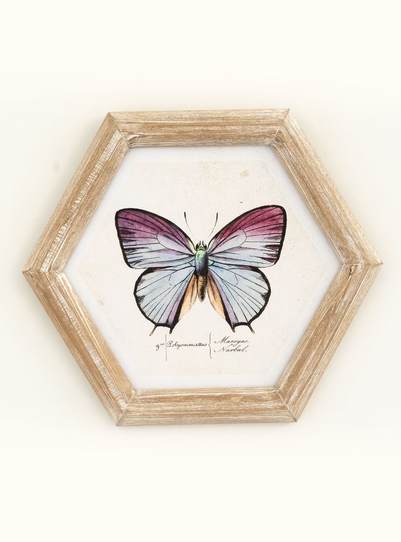 Cuadro Mariposa 26x30 cm Celeste-0