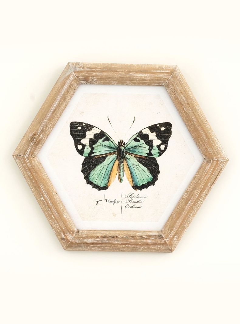 Cuadro Mariposa 26x30 cm Verde-0