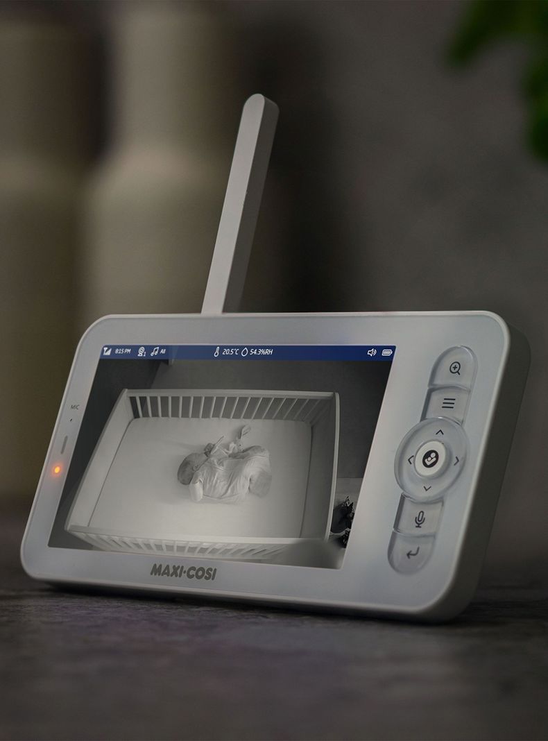 Video Monitor See Pro-3