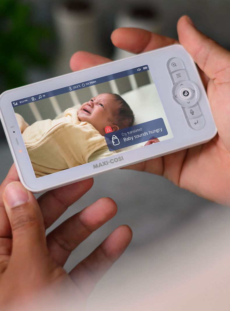 Video Monitor See Pro-4