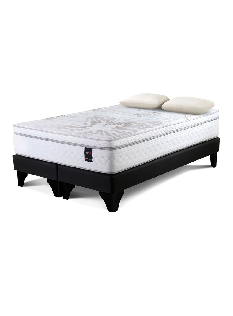 Cama Europea Art 4 King BD + Almohada Memory Max-0