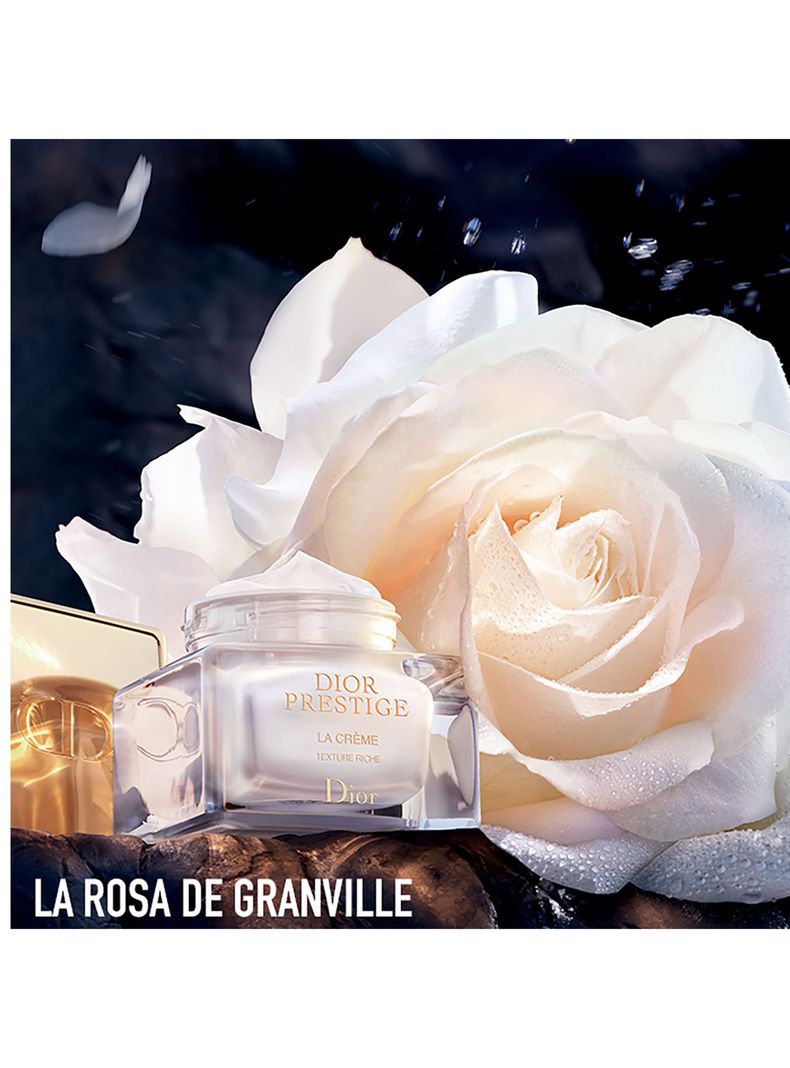 Crema Dior Tratamiento Ojos Prestige 15 ml-3
