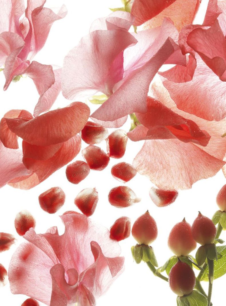 Set Perfume Bvlgari Omnia Coral EDT Mujer 65 ml + Miniatura 15 ml-3