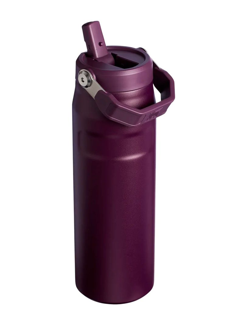 Botella Térmica Flip Straw 2.0 Plum 710 ml-1