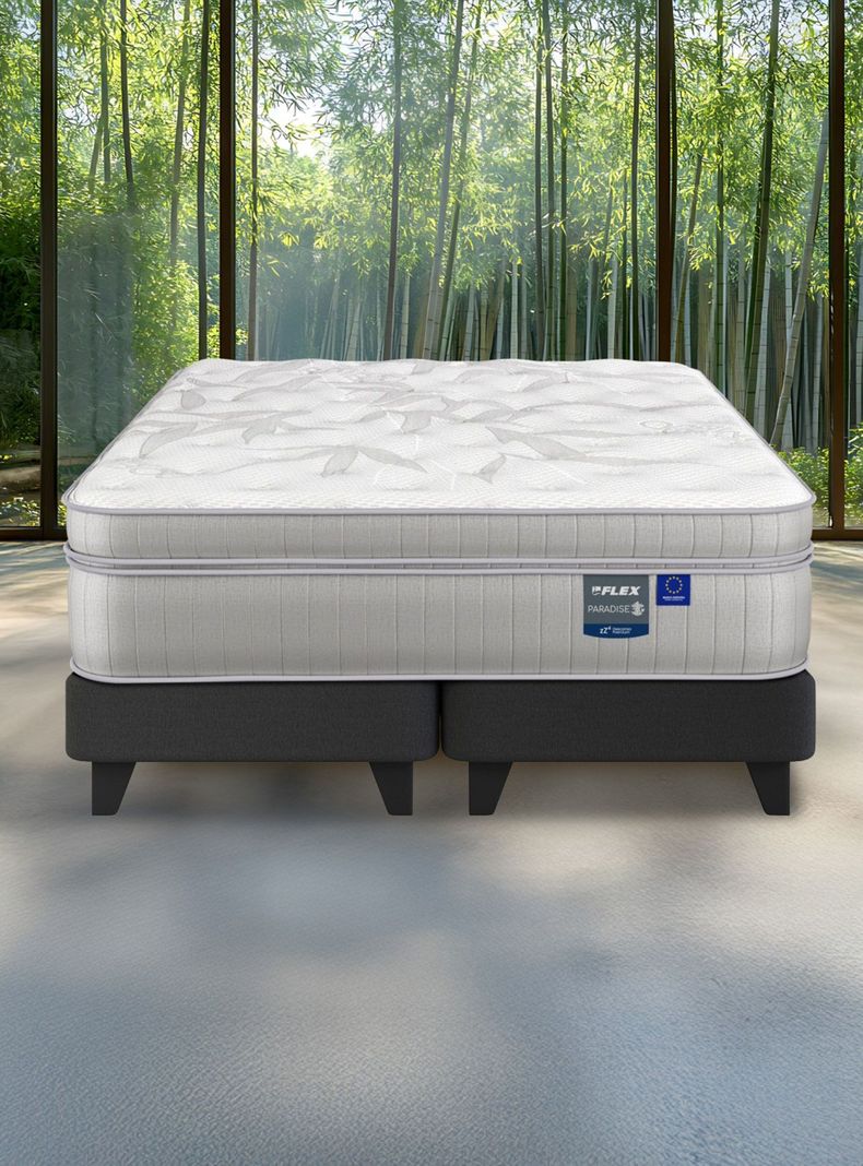 Cama Europea Paradise 2 Plazas Box Base Dividida + Respaldo Design Grafito + 2 Veladores Rover-5